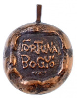 Várhelyi György (1942-) 1991. 'Fortuna Bogyó / Szenior atléták versenye 1991' bogyó formájú Br emlékérem füllel (~35mm) T:2