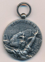 Franciaország DN 'Republique Française / Armee Nation - Defense Nationale ' ezüstözött fém emlékérem füllel. Szign.:D'apres Rude (36mm) T:2France ND 'Republique Française / Armee Nation - Defense Nationale' silvered metal commemorative