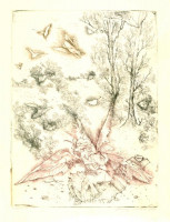 Almásy Aladár (1946-): Flaubert venyigéi. Rézkarc, papír, jelzett, enyhén foltos, üvegezett keretben, 39×29 cm
