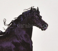 Dobi 2015 jelzéssel (hátoldalán): Paripa. Olaj, karton, fa keretben, 39,5x49,5 cm