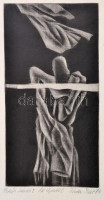 Finta Edit (1945 - ): Petőfi Sándor: Az Apostol. Rézkarc, papír, jelzett. 28x14 cm