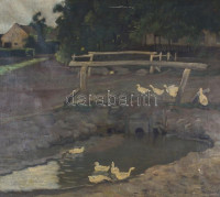 Gulyás S jelzéssel: Libák. Olaj, vászon, sérült, fa keretben, 55,5x65 cm