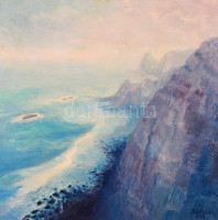 Márkusz Zsuzsanna (?-): Sziklás tengerpart, olaj, farost, jelzett, datált (1998), hátoldalán címkén feliratozott, fa keretben, 60×60 cm