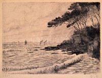 Pál János (?-?): Balaton, 1951. Rézkarc, papír, lap alja sérült. rézkarc ép, 23x31,5 cm
