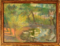 Poll jelzéssel: Libák. Pasztell, papír, üvegezett keretben, 34×44 cm