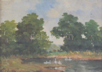 Szentpály Zoltán (?-?): Vízpart libákkal (1930 körül). Olaj, falemez, jelzett, üvegezett sérült, régi keretben, hátoldalán Rozsnyai Károly könyv- és zeneműkereskedése címkéjével, 13,5×18,5 cm