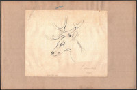 Anna Török 1846 jelzéssel: Szarvas, grafit, papír, foltos, papírra kasírozva, 21x25,5 cm