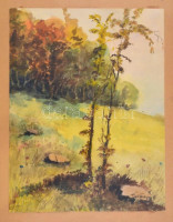 Turmayer jelzéssel: Őszi táj. Akvarell, papír, üvegezett keretben, 31x23,5 cm