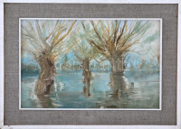 Olvashatatlan jelzéssel: Ártéri fák. Olaj, vászon, jelzett. 40x60 cm Keretben