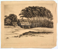 Olvashatatlan jelzéssel: Szélfútta fák. Rézkarc, papír, datált (928), számozott (1/4), lap széle sérült, rézkarc ép,19,5×25 cm