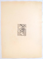 Rozanits Tibor (1931-): Íriszek Firenzéből XV. Rézkarc, merített papír, jelzett, számozott (94/100), 8x6 cm