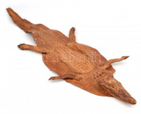 Régi. kikészített krokodilbőr 110 cm