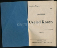 cca 1850 Pest-Solt megye cselédkönyv, kitöltetlen