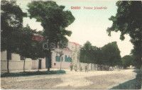 1909  Gödöllő, Ferenc József tér. Wilszky Vladimirné kiadása