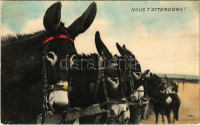 Nous T'Attendons! / horses, horse race. Edit. V. G. No. 65. (EK)