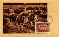 1951 Tehéncsorda, szarvasmarhák, magyar mezőgazdasági propaganda. Képzőművészeti Alap Kiadóvállalat / Hungarian agricultural propaganda, cattle, cows