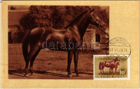 1951 Ló, magyar mezőgazdasági propaganda. Képzőművészeti Alap Kiadóvállalat / Hungarian agricultural propaganda, horse