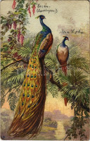 1928 Peacocks. S.T.Z.F. No. 1307.  (EK)