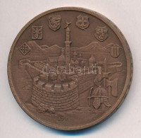 Képíró Zoltán (1944-1981) 1973. 'Kaposvár Centenáriuma' Br emlékérem (42,5mm) T:1Adamo KV1