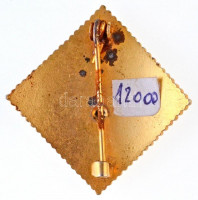 1988. 'Szöul 1988' aranyozott, zománcozott fém magyar olimpiai jelvény (33x34mm) T:2- rátét mozog, hajlott tű, korrróziónyom, kis zománchiba