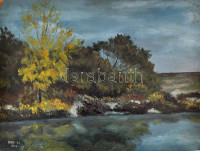 Barta jelzéssel: Vízparti vegetáció. Olaj, farost, kis hibával, 24×32 cm