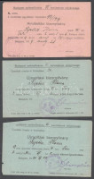 1919-41 1 db himlőoltási bizonyítvány, 2 db újraoltási bizonyítvány és Bischitz Miksa főorvosáltal kiállított orvosi igazolás, ugyanazon budapesti lakos részére