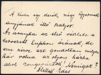 1904 Jászai Mari (1850-1926) színésznő saját kézzel írt levele Hermann Leontinnak, Gerő Ödön művészeti újságíró, szerkesztő feleségének, melyben egy táska ajándékozásáról ír. Két beírt oldal kártyán