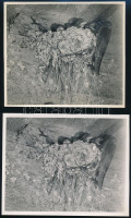 cca 1936 Verőce, Kinszki Imre (1901-1945) budapesti fotóművész hagyatékából, 4 db pecséttel jelzett, vintage fotó, az egyik feliratozva is (Füsti fecskék fészke Verőcén), 12,5×14,5 cm
