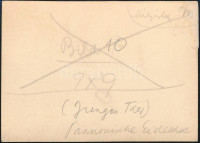 cca 1930 Kinszki Imre (1901-1945) budapesti fotóművész hagyatékából, jelzés nélküli, de a szerző által feliratozott vintage fotó (Gyík fehér háttér előtt), 6x8,5 cm