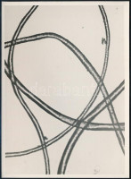 cca 1934 Kinszki Imre (1901-1945) budapesti fotóművész hagyatékából, jelzés nélküli vintage fotó (Mikrofotó 220x nagyításban), 16,2x12 cm