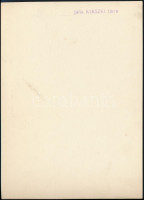 cca 1936 Kinszki Imre (1901-1945) budapesti fotóművész pecséttel jelzett, vintage fotóművészeti alkotása (Mezei égigérő), 17,5x12,5 cm