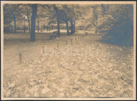 1930 Kinszki Imre (1901-1945) budapesti fotóművész hagyatékából, jelzés nélküli, de a szerző által feliratozott vintage fotó (Városliget, ez a szerző 740. sz. felvétele), 6,4x8,6 cm