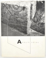 Frankl Aliona-Zeke Gyula: A másik város. Frankl Ailona fotóival, Zeke Gyula szövegével. Bp., 2003., Kijárat Kiadó. Gazdag fekete-fehér fotóanyaggal illusztrált. Kiadói papírkötés. Az egyik szerző, Frankl Aliona és Zeke Gyula