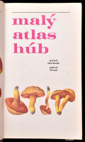 Aurel Dermek - Pavel Lizon: Maly atlas húb. Pozsony, 1980, Slovenské pedagogické nakladatel'stvo. Kiadói egészvászon kötésben, kiadói papír védőborításban, szlovák nyelven.