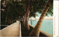 Palm beach (Florida), along the Lake Path