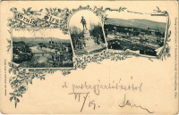 1900 Steyr, Vom Tabor gesehen, Wendl-Denkmal, Waffenfabriken / statue, weapon factory. Art Nouveau, floral  (EK)
