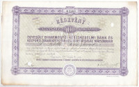 Nagyvárad 1911. 'Egyesült Biharmegyei Kereskedelmi Bank és Központi Takarékpénztár Részvénytársaság Nagyváradon' részvénye szelvényekkel, lyukasztásokkal érvénytelenítve, bélyegzésekkel T:II