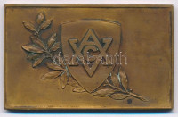 ~1906. 'Vívó és Atletikai Club (VAC) 1906.' kétoldalas Br plakett (35x56mm) T:2 patina