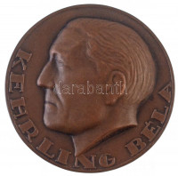 1948. 'Kehrling Béla / Magyar Tenisz Szövetség - 1907-1947 - Magyarország 1948. évi vid. női páros bajnoka Győr' Br díjérem 'LUDWIG' gyártói jelzéssel (64mm) T:2