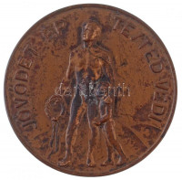 Csehszlovákia ~1930. 'Jövődet ép tested védi / Csehszl. Magyar Testnevelő Szövetség' Br díjérem (60mm) T:2-Czecoslovakia ~1930. 'Your healthy body defends your future / Hungarian Association of Physical Education in Czechslovakia' Br