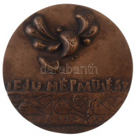 Csíkszentmihályi Róbert (1940-) 1970. 'Ifjú népművész' egyoldalas Br plakett (85mm) T:1-