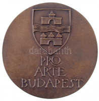 Dévényi János (1934- ) DN 'Kompozíció' Br érem (84mm) T:1-
