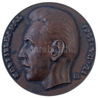 Edvi Illés György (1911-1991) 1943. 'Edvi Illés Pál 1943. VII. 21' Br emlékérem (83mm)  T:2