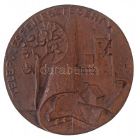 Lajos József (1936-) DN 'Településfejlesztésért / Bács-Kiskun Megyei Tanács és a Hazafias Népfront Megyei Bizottsága' öntött Br emlékérem (80mm) T:2