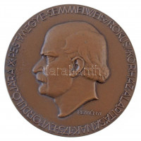 Reményi József (1887-1977) 1956. 'Pest Megye Semmelweis (Rókus) Kórház Alapításának 175. évfordulójára / 1781-1956' kétoldalas Br emlékérem (60mm) T:1- apró ph.