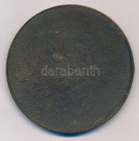 DN 'A Közművelődésért 40 - Belügyminisztérium' egyoldalas, öntött Br emlékérem (75mm) T:1-
