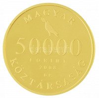 2008. 50.000Ft Au 'Hunyadi Mátyás trónra lépésének 550. évfordulója' (10,07g/0.986) T:PP felületi karc / Hungary 2008. 50.000 Forint Au '550th Anniversary of the Accession of Matthias Corvinus' (10,07g/0.986) C:PP slightly scratched Adamo