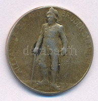 Ausztria 1901. 'Straubinger testvér operett 100. előadása alkalmából a Bécsi Színházban' emlékzseton aranyozott Ag. Szign.: Warchmann (5,68g/23mm) T:2-,3Austria 1901. 'For the Brother Straubinger operetta 100th performance in the Theater