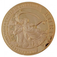 Ciprus 2008. 'Europa' aranyozott fém emlékérem (70mm) T:PPCyprus 2008. 'Europa' gilt metal commemorative medal (70mm) C:PP