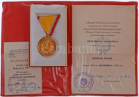 1981. 'Szolgálati Érdemérem - Honvédelmi Érdemérem' 10 év után, aranyozott Br kitüntetés mellszalagon eredeti, de sérült tokban, adományozó oklevéllel, Czinege Lajos honvédelmi miniszter aláírásával és a Magyar